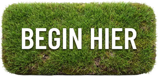 Begin hier